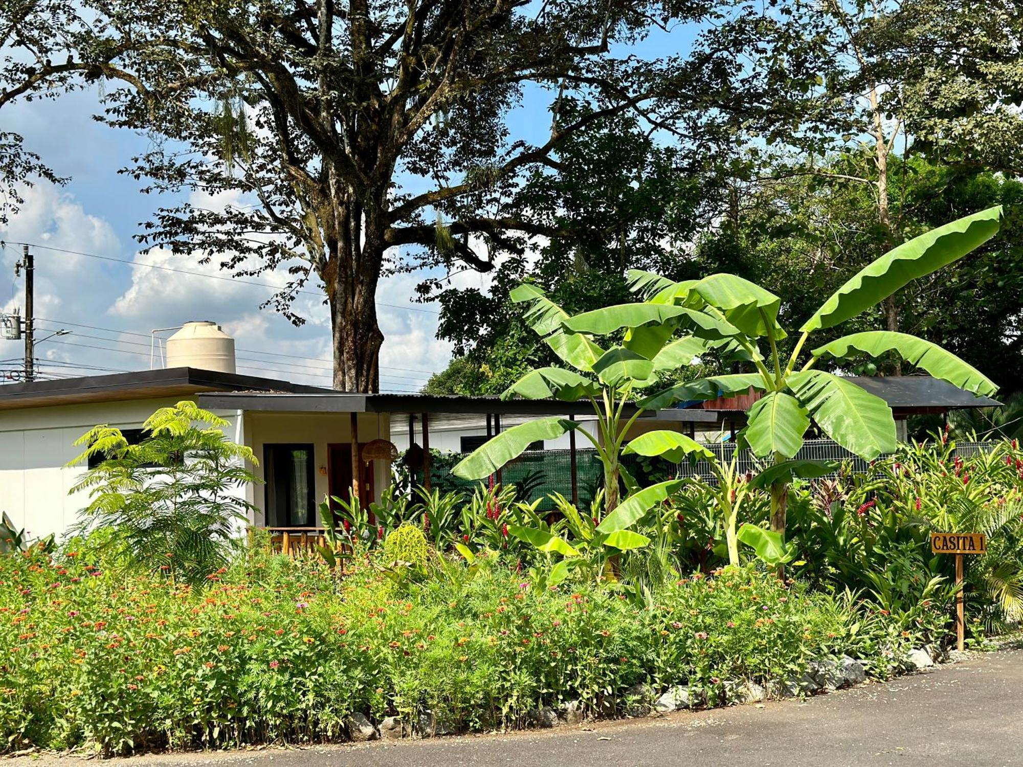 Almendros Eco-Villas La Fortuna Eksteriør billede