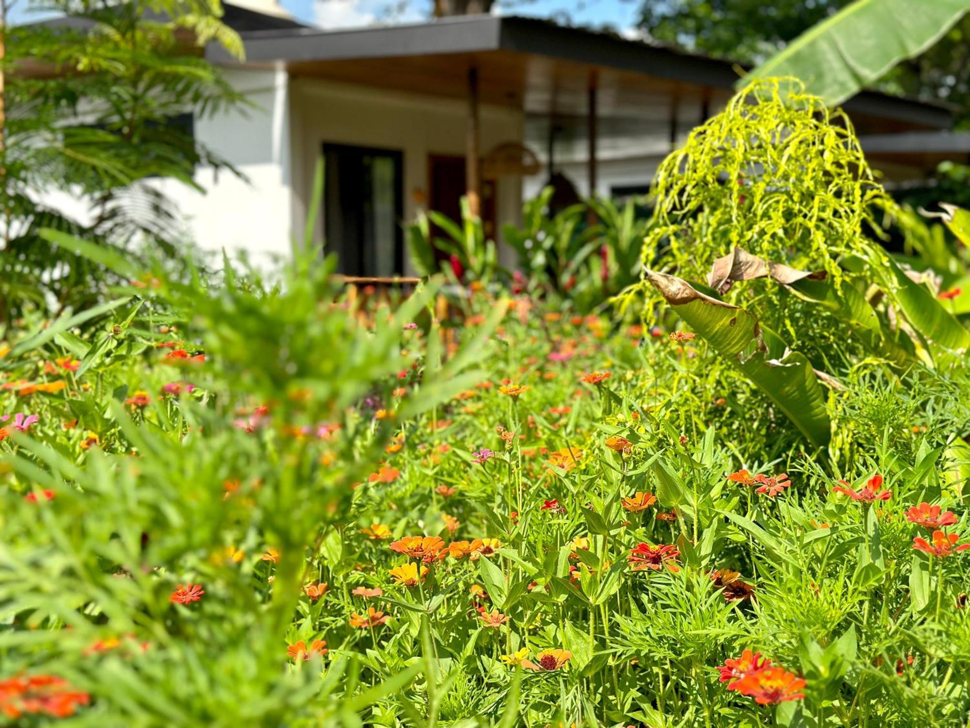 Almendros Eco-Villas La Fortuna Eksteriør billede